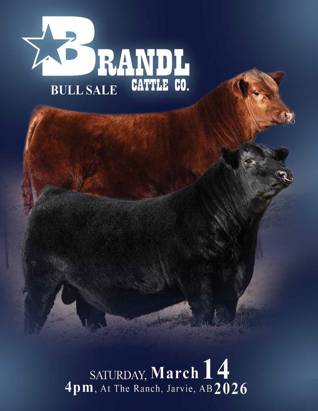 brandlCatalogueTEXT26_ ISSUU_Page_01_Image_0001